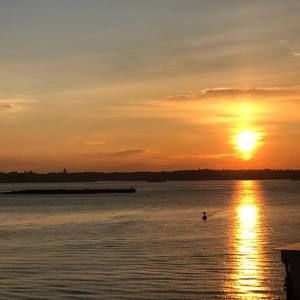 Meet your Posher, Ann